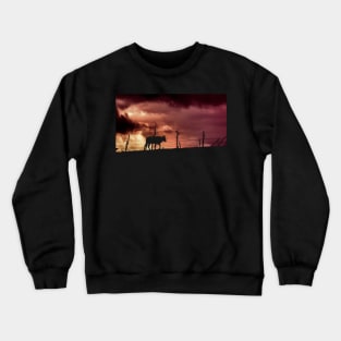 silhouette of a bull in a sunset Crewneck Sweatshirt